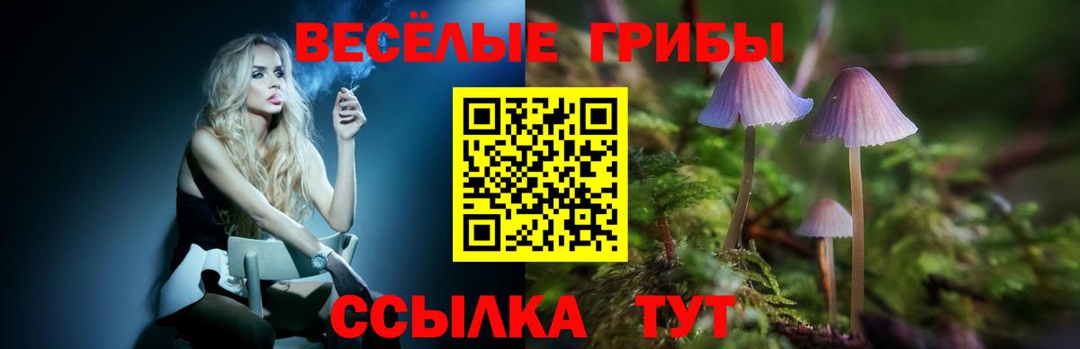 Галлюциногенные грибы прущие грибы  Вход с VPN  Галлюциногенные грибы ЛСД  Кашира 